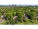 Aerial view of the neighborhood, showcasing lush greenery and the Charlotte skyline at 2117 Camp Greene St, Charlotte, NC 28208