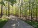 Long driveway surrounded by tall, mature trees creates a private entrance to the estate at 2504 White Thorne Ln, Waxhaw, NC 28173