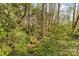 Lush creek with mature trees and vegetation along the water's edge at 4896 Birch Cir, Hickory, NC 28602
