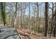 A picturesque view of the property showcasing natural landscaping and the peaceful surroundings at 623 Roxboro Dr, Mount Gilead, NC 27306