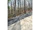 An outdoor path bordered by natural foliage guides you through the property, highlighting its serene setting at 623 Roxboro Dr, Mount Gilead, NC 27306