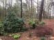 Backyard featuring mature trees, colorful shrubs, and a variety of plants at 235 John Rainey Rd, Salisbury, NC 28147