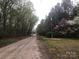 Scenic shot of a dirt street lined with mature trees and vibrant greenery at 235 John Rainey Rd, Salisbury, NC 28147