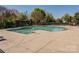 Open swimming pool with lounge chairs and trees around the perimeter at 10728 Bere Island Dr, Charlotte, NC 28278