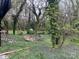 Backyard overgrown with vegetation and debris at 119 Mitchell St, Salisbury, NC 28144