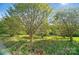Scenic view of trees and grass in a beautifully landscaped yard on a sunny day at 4607 Crewe Hall Ln, Waxhaw, NC 28173