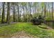 Large, well-maintained backyard with mature trees and lush greenery offering privacy at 7710 Epping Forest Dr, Huntersville, NC 28078