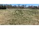 Expansive view of a large, open backyard with sparse ground covering and trees at 104 Mulligan Dr, Shelby, NC 28150