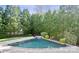 A triangular in-ground pool surrounded by lush greenery and landscaping, creating a private oasis at 11236 Mcclure Manor Dr, Charlotte, NC 28277