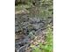 Babbling creek flowing through the property surrounded by lush vegetation and greenery at 113 Duval Ct, Mooresville, NC 28117