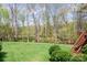 The backyard is level and full of lush green grass and mature trees at 164 Crooked Branch Way, Troutman, NC 28166