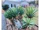Unique landscaping featuring yucca plants and a decorative rock at 318 Lake Montonia Rd, Kings Mountain, NC 28086
