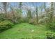 Lush green backyard featuring blossoming trees and serene natural surroundings at 431 Sullivan Rd, Statesville, NC 28677