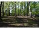 Serene wooded land featuring mature trees, creating a tranquil and private setting at 121 Silver Fox Ct, Mount Holly, NC 28120