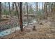 Scenic backyard view featuring a tranquil creek and lush natural surroundings at 2701 Rea Rd, Charlotte, NC 28226