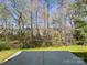 Serene backyard view with lush greenery and mature trees, offering privacy and tranquility at 3026 S Devon St, Charlotte, NC 28213