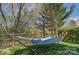 Backyard featuring a hammock, large trees, and a partial fence at 10421 Dominion Village Dr, Charlotte, NC 28269