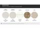 Finishes featuring MSI Carrera Delphi Quartz, MSI Polar White Venetian Marble, Timberlake Duraform Linen, Shaw Wild Dunes, Shaw Sugar Cookie at 127 Wheeler Trl, Statesville, NC 28625
