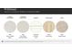 Whitman material selections feature MSI Carrara Delphi Quartz, MSI Polar White Venetian Marble, and Shaw Silver Dollar at 135 Wheeler Trl, Statesville, NC 28625