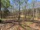Backyard with trees and foliage, in a wooded area at 245 Clontz Hill Rd, Troutman, NC 28166