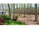 View of the backyard, a beautiful forest with towering trees at 245 Clontz Hill Rd, Troutman, NC 28166