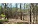 View of backyard and tree-filled lot and patio at 245 Clontz Hill Rd, Troutman, NC 28166