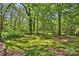 Lush backyard with mature trees, complemented by decorative stone edging, creating a peaceful outdoor retreat at 2605 Winding Oak Dr, Charlotte, NC 28270