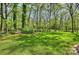 Lush green backyard with mature trees and a firepit area, perfect for outdoor gatherings at 2605 Winding Oak Dr, Charlotte, NC 28270