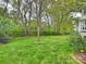 Lush green backyard features a level lawn, mature trees, and black fencing for privacy and outdoor enjoyment at 6225 Woodleigh Oaks Dr, Charlotte, NC 28226