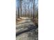Long gravel driveway leading up to the property with natural surroundings on either side at 368 Northwood Dr, Troy, NC 27371