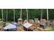 A collection of chicken coops and shelters are arranged in an outdoor space at 368 Northwood Dr, Troy, NC 27371