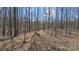 Beautiful wooded property with lots of natural light at 368 Northwood Dr, Troy, NC 27371
