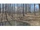 Scenic view of a pond surrounded by trees on a sunny day at 368 Northwood Dr, Troy, NC 27371