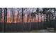 A picturesque sunset view is seen through the bare winter trees at 368 Northwood Dr, Troy, NC 27371