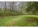 Expansive backyard view, showcasing lush green grass, mature trees, and a chain-link fence at 6005 Fringe Tree Dr, Charlotte, NC 28227