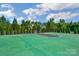 A community basketball court surrounded by trees and greenery provides a great recreational space at 704 Fresia Dr, Tega Cay, SC 29708