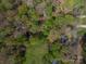 Overhead shot of the property nestled among mature trees and landscaping at 7790 Caswell Rd, Stanley, NC 28164