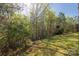 Lush, wooded backyard merging into a grassy lawn at 1527 Meadow Glen Ln, Rock Hill, SC 29730