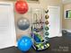Community gym equipment with yoga mat storage and exercise balls at 2097 Saddlebred Dr, Iron Station, NC 28080