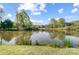Scenic view of the community pond, fringed with lush greenery and reflected sky at 4715 Amberside Dr, Rock Hill, SC 29732