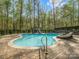 A picturesque swimming pool featuring a slide, surrounded by lush greenery and a paved patio at 1725 Hannon Farm Rd, Fort Mill, SC 29715