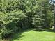 Lush green backyard with mature trees offering shade and privacy at 3704 25Th Street Ne Pl, Hickory, NC 28601