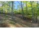 A lush, partially cleared lot with mature trees offers privacy and a natural setting for this home at 472 Oak Rd # 114/115/116, Norwood, NC 28128