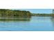 A tranquil view of a serene lake surrounded by lush greenery and peaceful scenery at 15170 Cove Point Ln, Norwood, NC 28128