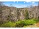 Scenic view of a winding river and lush forest against a blue sky at 1595 Cheatham Ford Rd, Hiddenite, NC 28636