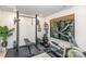 Home gym with exercise equipment, weights, and natural light creating a motivational fitness space at 3526 Saker Ln, Charlotte, NC 28211