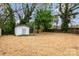 Large backyard featuring a shed with mature trees, a serene outdoor space at 507 E Green St, Monroe, NC 28112