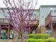 Townhome backyard with a patio, redbud tree, brick, and rear-entry door at 5430 Dockery Dr, Charlotte, NC 28209