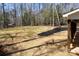Backyard featuring trees, grass, and a newly mulched area at 676 Chapel Hill Dr, Troy, NC 27371