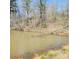 Scenic view of a pond with two geese swimming on a bright sunny day at 205 Jim Patterson Rd, Kings Mountain, NC 28086